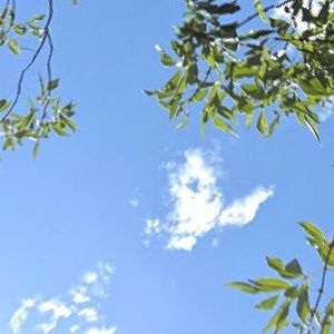 Meet your Posher, Dwayne